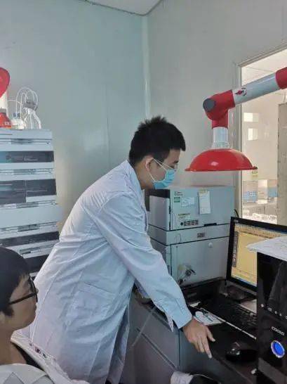 青春归巢，实践兴乡——兰大学子返乡开展多元社会实践纪实